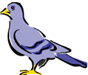 Click here to read about a Pigeon Pair