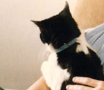 Click here to read about Tina and the mint